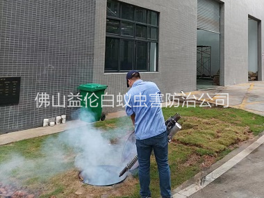 南海厂区杀蟑螂蚊蝇工程